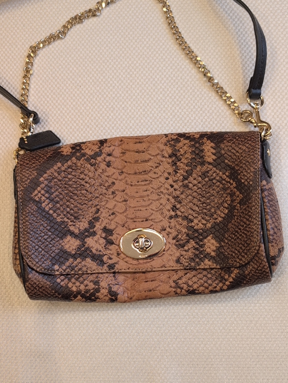 Coach Snake-Print Crossbody Shoulder Bag in Brown